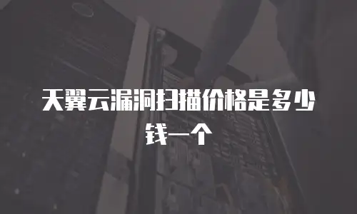 天翼云漏洞扫描价格是多少钱一个