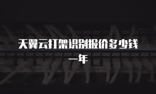 天翼云打架识别报价多少钱一年