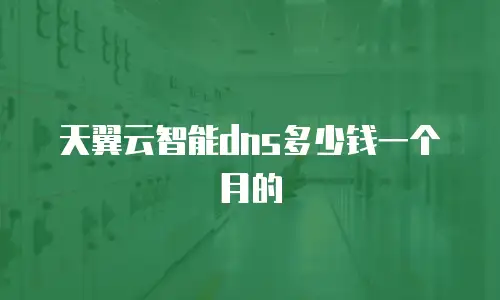 天翼云智能dns多少钱一个月的