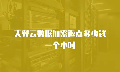 天翼云数据加密返点多少钱一个小时