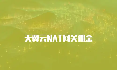 天翼云NAT网关佣金