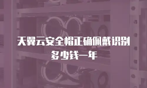 天翼云安全帽正确佩戴识别多少钱一年