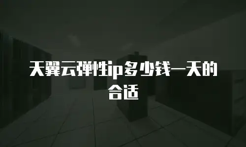 天翼云弹性ip多少钱一天的合适
