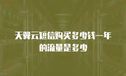 天翼云短信购买多少钱一年的流量是多少
