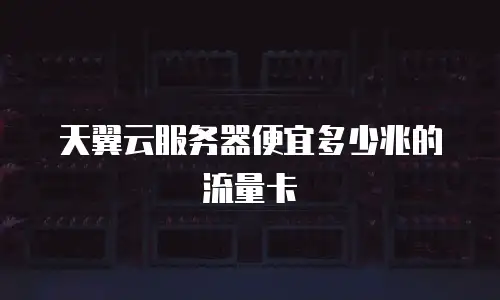 天翼云服务器便宜多少兆的流量卡