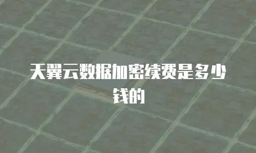天翼云数据加密续费是多少钱的