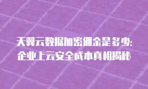 天翼云数据加密佣金是多少：企业上云安全成本真相揭秘
