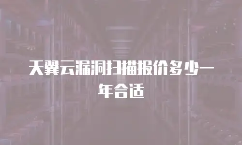 天翼云漏洞扫描报价多少一年合适
