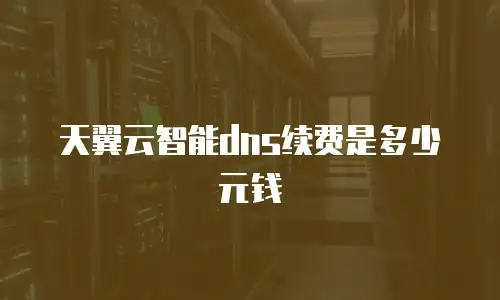 天翼云智能dns续费是多少元钱