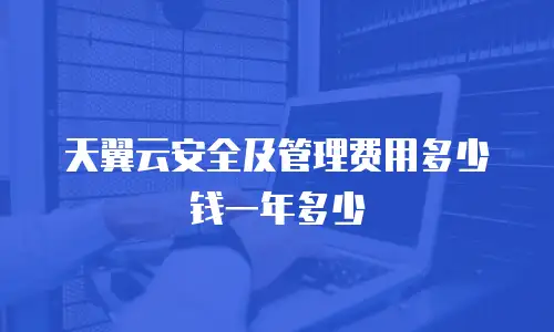 天翼云安全及管理费用多少钱一年多少