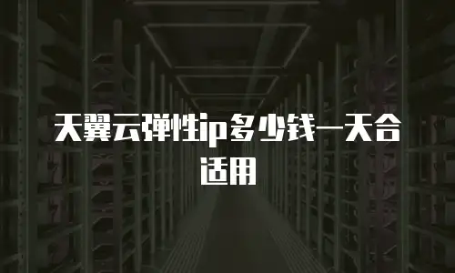 天翼云弹性ip多少钱一天合适用