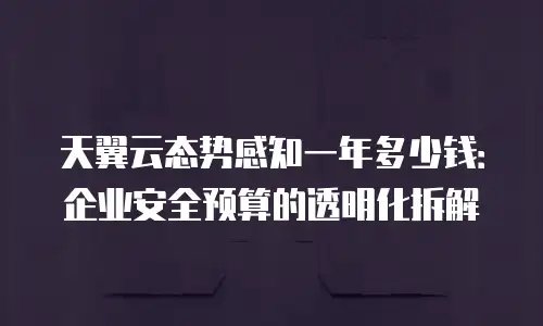 天翼云态势感知一年多少钱：企业安全预算的透明化拆解