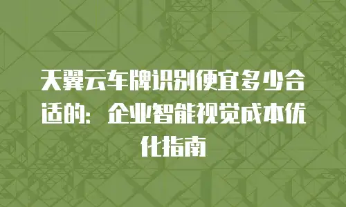 天翼云车牌识别便宜多少合适的：企业智能视觉成本优化指南