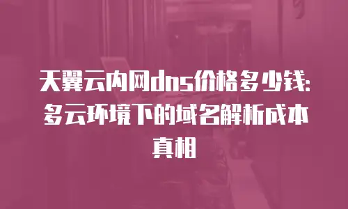 天翼云内网dns价格多少钱：多云环境下的域名解析成本真相