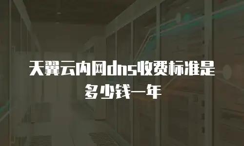 天翼云内网dns收费标准是多少钱一年