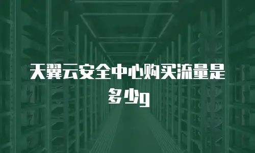 天翼云安全中心购买流量是多少g