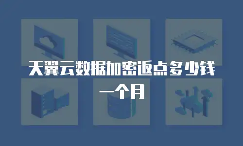 天翼云数据加密返点多少钱一个月