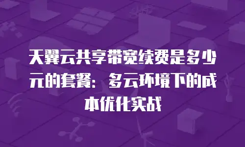 天翼云共享带宽续费是多少元的套餐：多云环境下的成本优化实战