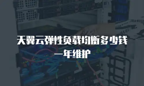 天翼云弹性负载均衡多少钱一年维护