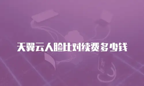 天翼云人脸比对续费多少钱