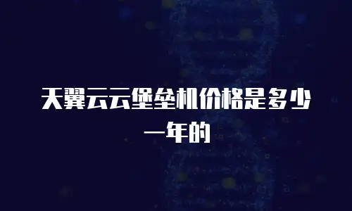 天翼云云堡垒机价格是多少一年的
