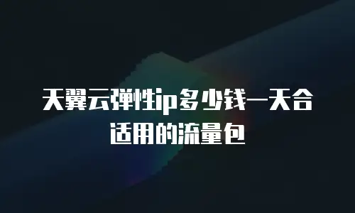 天翼云弹性ip多少钱一天合适用的流量包