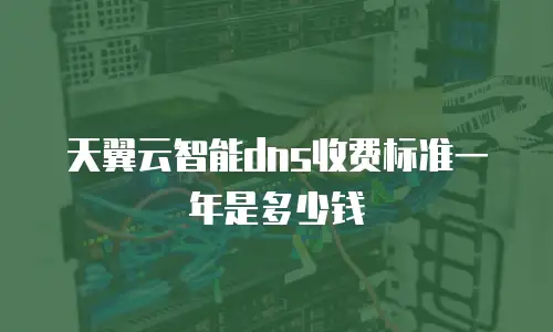 天翼云智能dns收费标准一年是多少钱