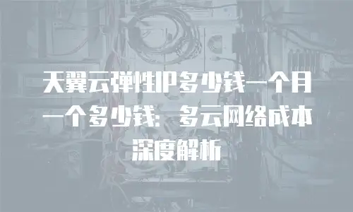 天翼云弹性IP多少钱一个月一个多少钱：多云网络成本深度解析