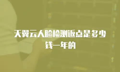 天翼云人脸检测返点是多少钱一年的