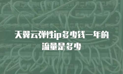 天翼云弹性ip多少钱一年的流量是多少