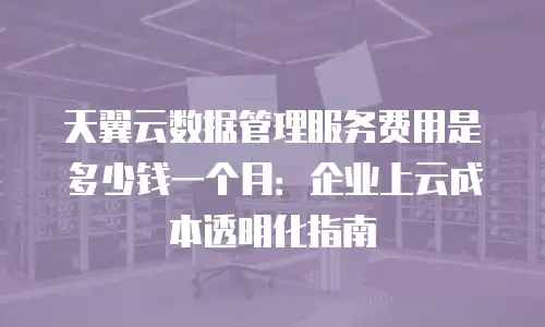 天翼云数据管理服务费用是多少钱一个月：企业上云成本透明化指南