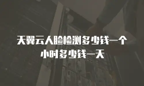 天翼云人脸检测多少钱一个小时多少钱一天