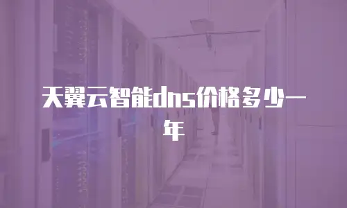 天翼云智能dns价格多少一年