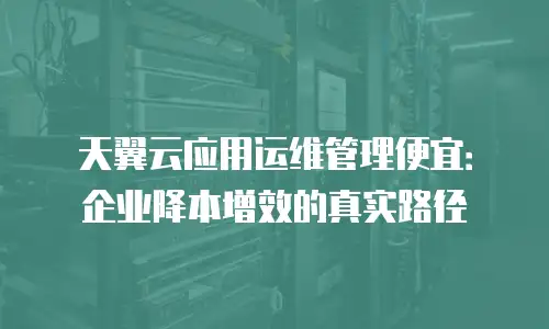 天翼云应用运维管理便宜：企业降本增效的真实路径