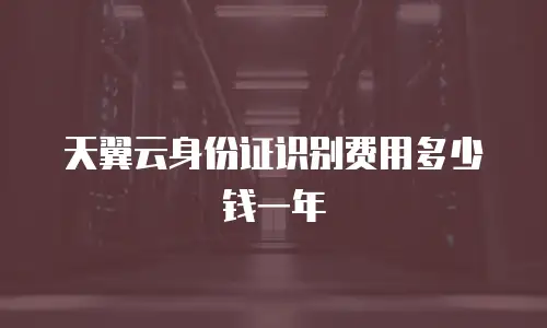 天翼云身份证识别费用多少钱一年