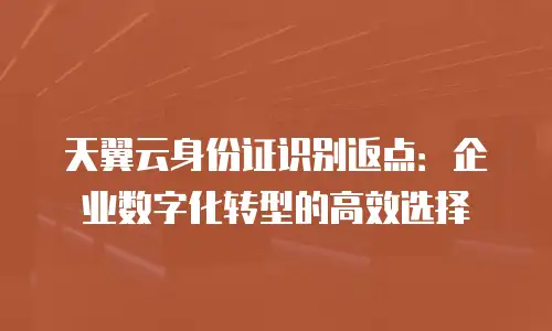天翼云身份证识别返点：企业数字化转型的高效选择