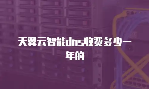 天翼云智能dns收费多少一年的