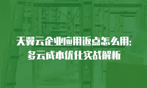 天翼云企业应用返点怎么用：多云成本优化实战解析