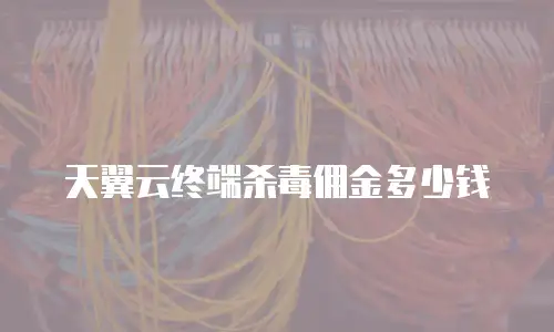 天翼云终端杀毒佣金多少钱
