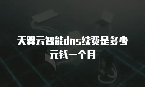 天翼云智能dns续费是多少元钱一个月