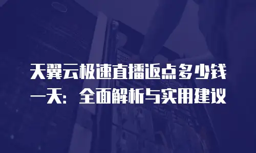 天翼云极速直播返点多少钱一天：全面解析与实用建议