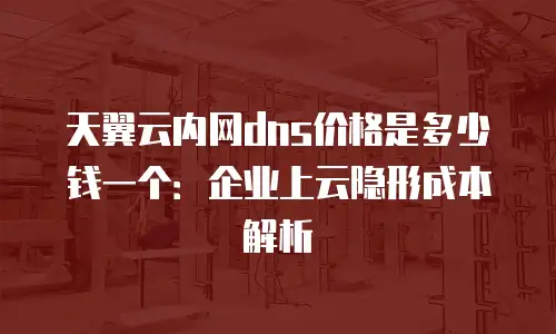 天翼云内网dns价格是多少钱一个：企业上云隐形成本解析