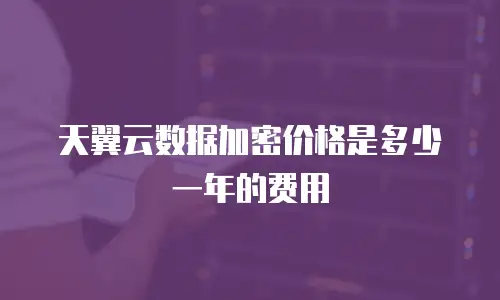 天翼云数据加密价格是多少一年的费用