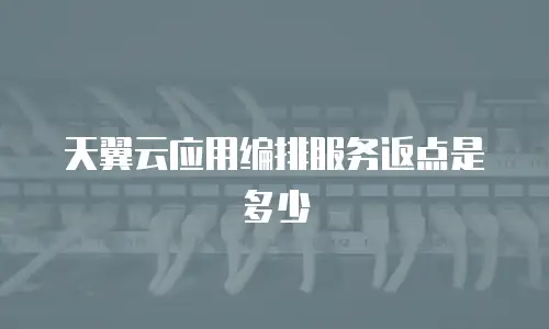 天翼云应用编排服务返点是多少