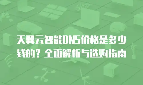 天翼云智能DNS价格是多少钱的？全面解析与选购指南