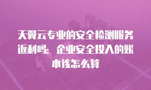 天翼云专业的安全检测服务返利吗：企业安全投入的账本该怎么算