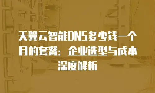 天翼云智能DNS多少钱一个月的套餐：企业选型与成本深度解析