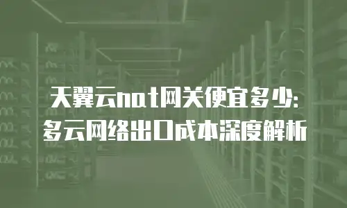 天翼云nat网关便宜多少：多云网络出口成本深度解析