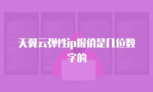 天翼云弹性ip报价是几位数字的