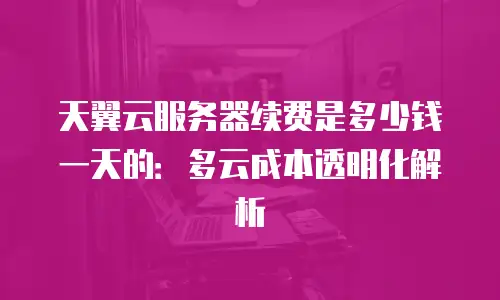 天翼云服务器续费是多少钱一天的：多云成本透明化解析